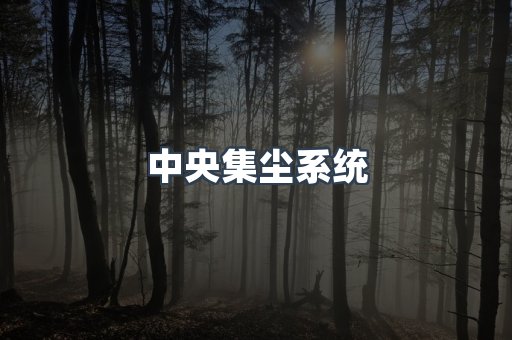 中央集尘系统