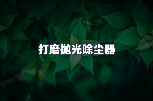 打磨抛光除尘器
